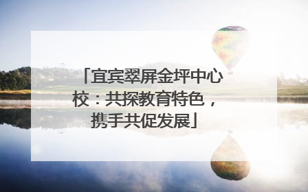 宜宾翠屏金坪中心校：共探教育特色，携手共促发展
