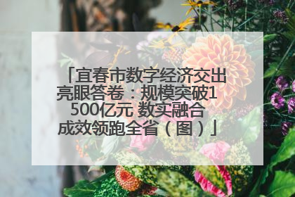 宜春市数字经济交出亮眼答卷：规模突破1500亿元 数实融合成效领跑全省（图）