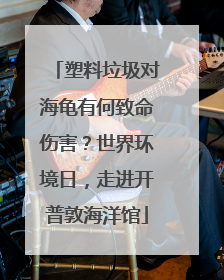 塑料垃圾对海龟有何致命伤害？世界环境日，走进开普敦海洋馆