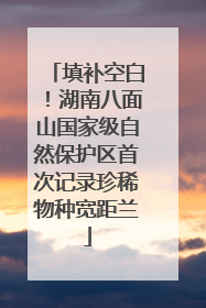 填补空白！湖南八面山国家级自然保护区首次记录珍稀物种宽距兰