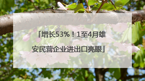 增长53%！1至4月雄安民营企业进出口亮眼