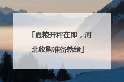 夏粮开秤在即，河北收购准备就绪