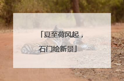 夏至荷风起，石门绘新景