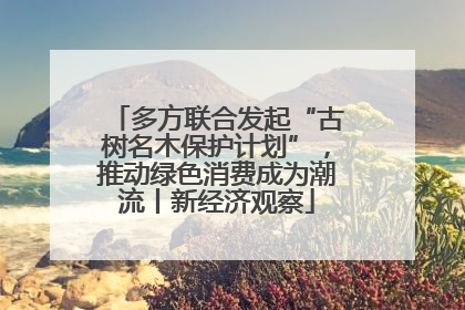 多方联合发起“古树名木保护计划”，推动绿色消费成为潮流丨新经济观察