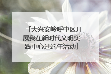 大兴安岭呼中区开展我在新时代文明实践中心过端午活动