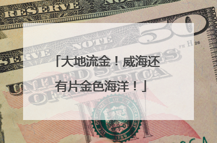 大地流金！威海还有片金色海洋！