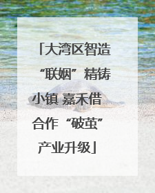 大湾区智造“联姻”精铸小镇 嘉禾借合作“破茧”产业升级
