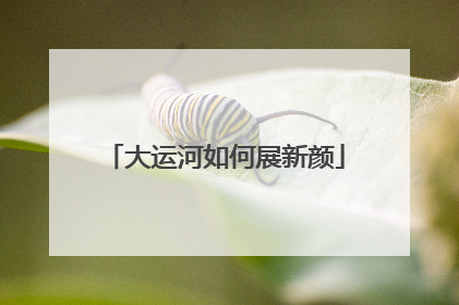 大运河如何展新颜