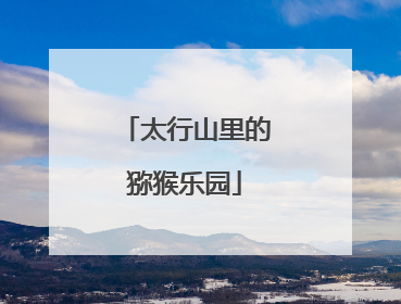 太行山里的猕猴乐园