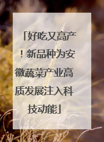 好吃又高产！新品种为安徽蔬菜产业高质发展注入科技动能