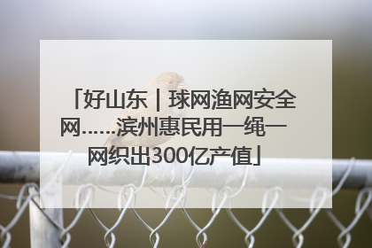 好山东｜球网渔网安全网……滨州惠民用一绳一网织出300亿产值