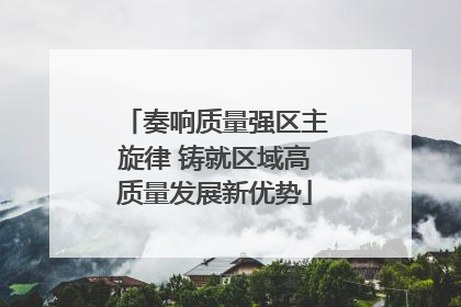 奏响质量强区主旋律 铸就区域高质量发展新优势
