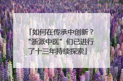 如何在传承中创新？“浙派中医”们已进行了十三年持续探索