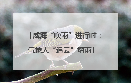 威海“唤雨”进行时：气象人“追云”增雨