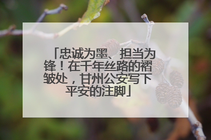 忠诚为墨、担当为锋！在千年丝路的褶皱处，甘州公安写下平安的注脚