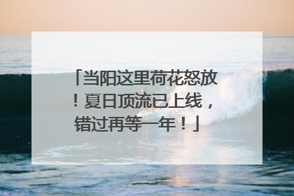 当阳这里荷花怒放！夏日顶流已上线，错过再等一年！