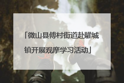 微山县傅村街道赴驩城镇开展观摩学习活动