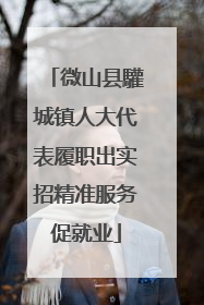 微山县驩城镇人大代表履职出实招精准服务促就业
