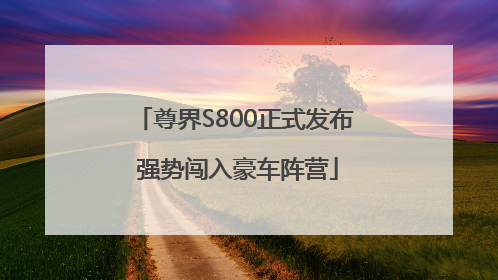 尊界S800正式发布 强势闯入豪车阵营