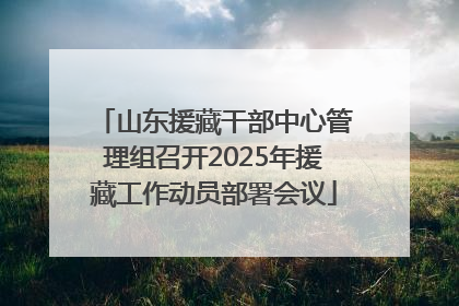 山东援藏干部中心管理组召开2025年援藏工作动员部署会议