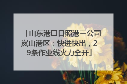 山东港口日照港三公司岚山港区：快进快出，29条作业线火力全开