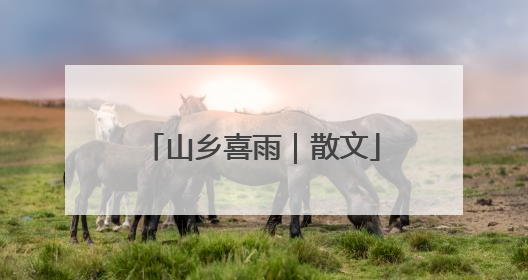 山乡喜雨｜散文