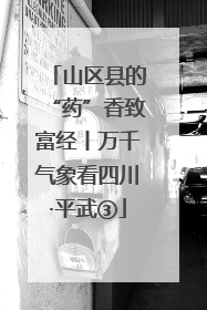 山区县的“药”香致富经丨万千气象看四川·平武③