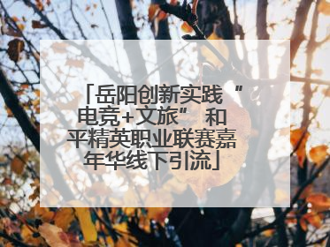 岳阳创新实践“电竞+文旅” 和平精英职业联赛嘉年华线下引流