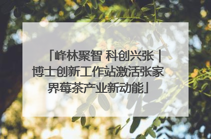 峰林聚智 科创兴张｜博士创新工作站激活张家界莓茶产业新动能