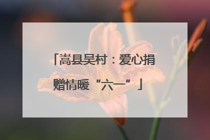 嵩县吴村：爱心捐赠情暖“六一”
