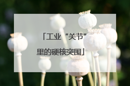 工业“关节”里的硬核突围