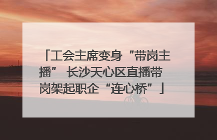 工会主席变身“带岗主播” 长沙天心区直播带岗架起职企“连心桥”