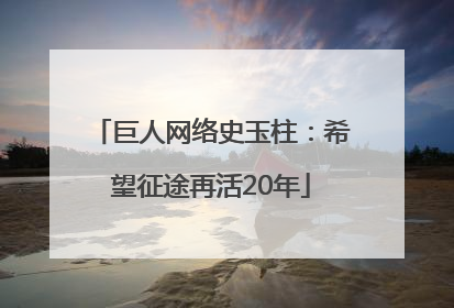 巨人网络史玉柱：希望征途再活20年