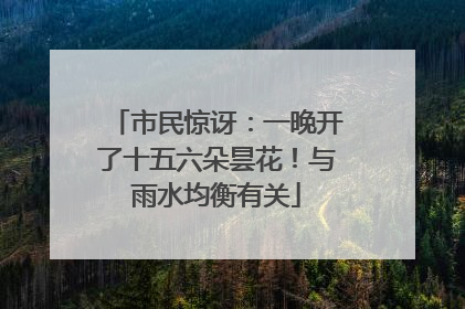 市民惊讶：一晚开了十五六朵昙花！与雨水均衡有关
