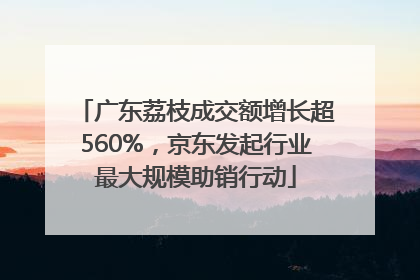广东荔枝成交额增长超560%，京东发起行业最大规模助销行动