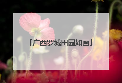 广西罗城田园如画