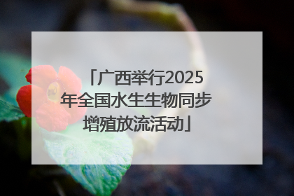 广西举行2025年全国水生生物同步增殖放流活动