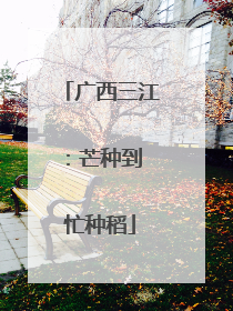 广西三江：芒种到 忙种稻