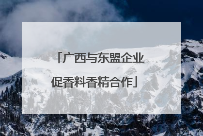 广西与东盟企业促香料香精合作