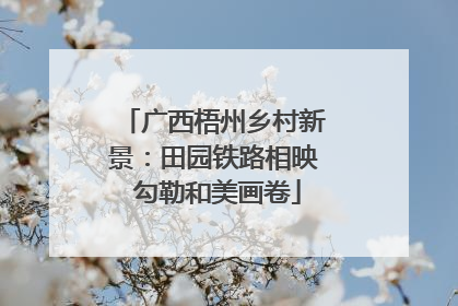 广西梧州乡村新景：田园铁路相映 勾勒和美画卷