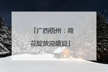 广西梧州：荷花绽放迎盛夏