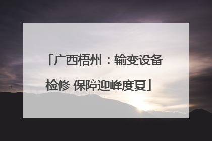 广西梧州：输变设备检修 保障迎峰度夏