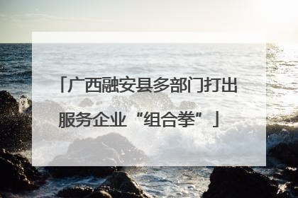 广西融安县多部门打出服务企业“组合拳”