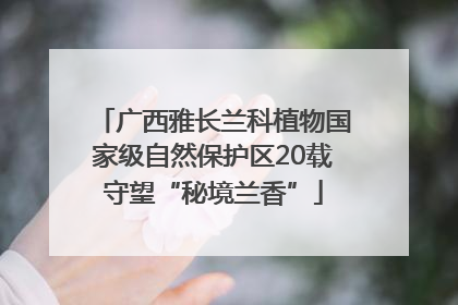 广西雅长兰科植物国家级自然保护区20载守望“秘境兰香”