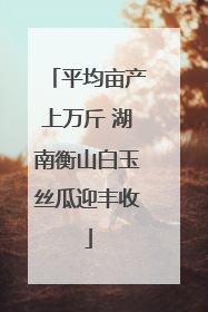 平均亩产上万斤 湖南衡山白玉丝瓜迎丰收