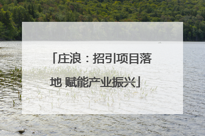 庄浪：招引项目落地 赋能产业振兴