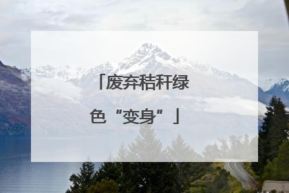 废弃秸秆绿色“变身”
