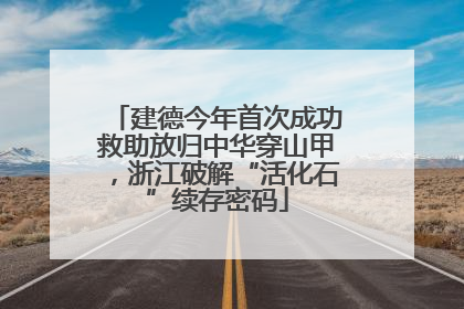 建德今年首次成功救助放归中华穿山甲，浙江破解“活化石”续存密码