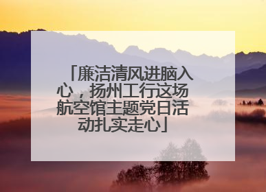 廉洁清风进脑入心，扬州工行这场航空馆主题党日活动扎实走心