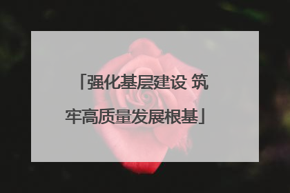强化基层建设 筑牢高质量发展根基